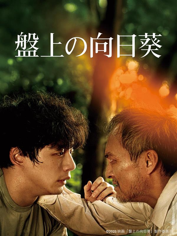 カンテレドーガ tweet media