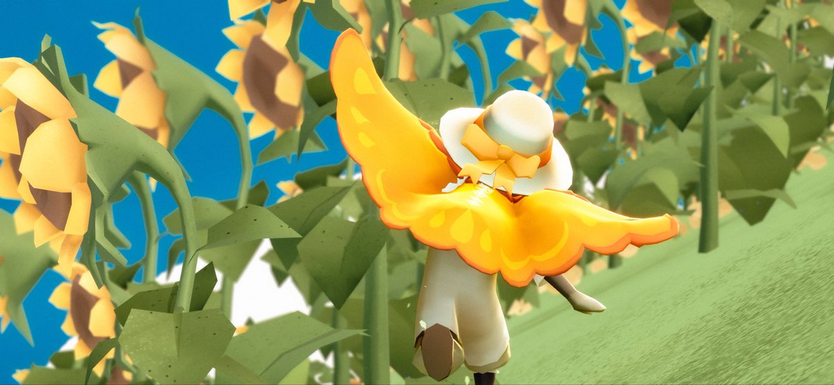 🌻☀️