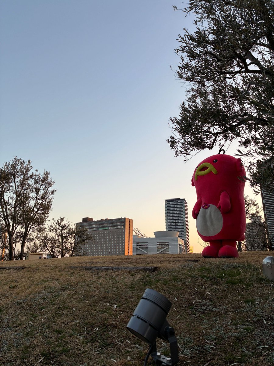 エビシー【公式】 tweet media