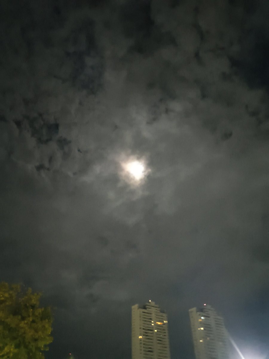 Marcela Lobato tweet media