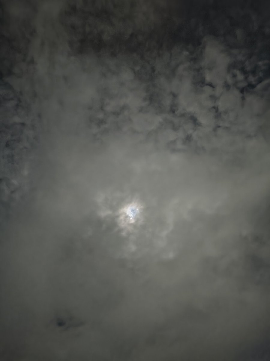 Marcela Lobato tweet media