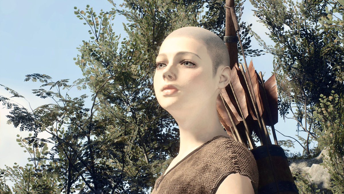 エルの日常 tweet media