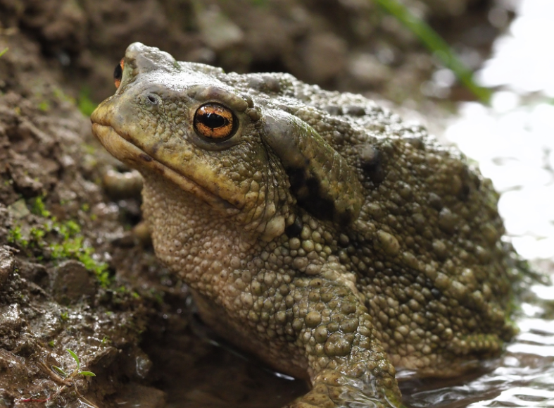 Dr. BioBlogo tweet media