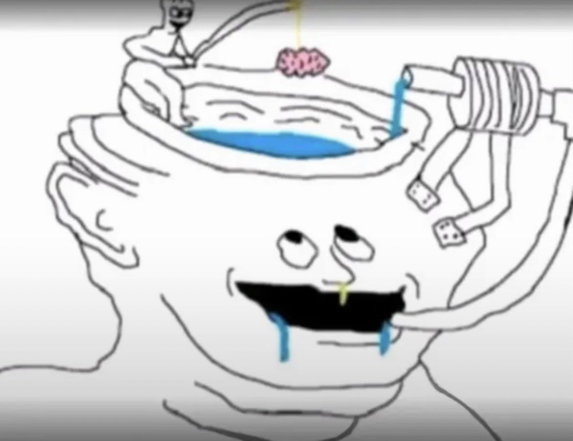 romane ⋆.˚ 🐈⬛ tweet media