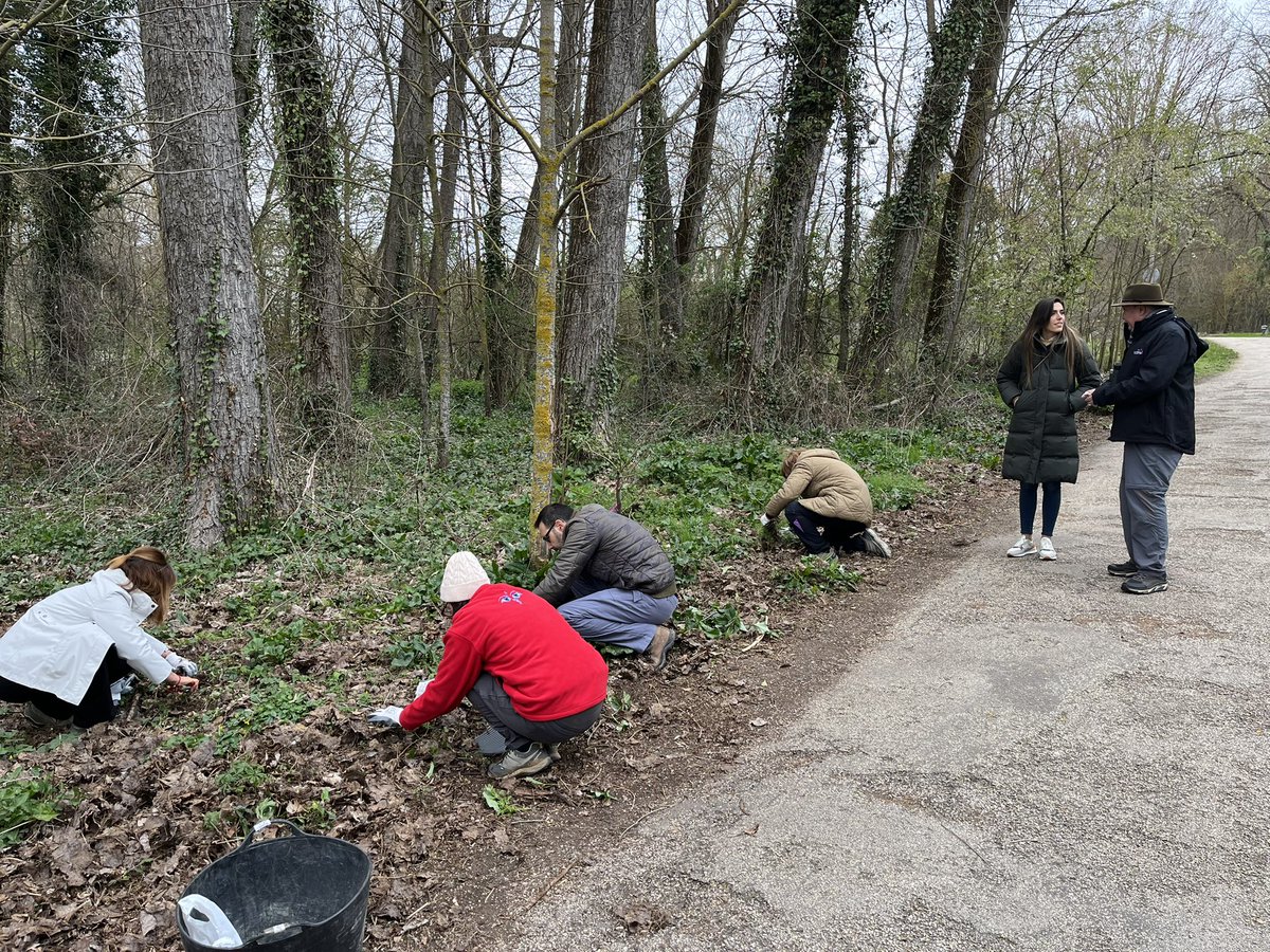 Ayuntamiento de Burgos tweet media