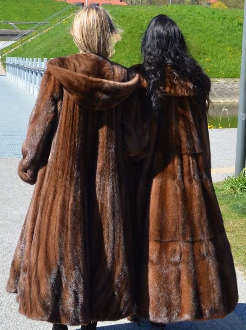 4furFURRRR tweet media