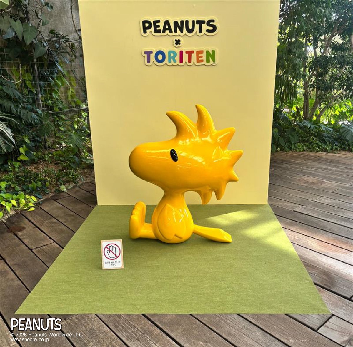 【公式】特別展「鳥」 tweet media