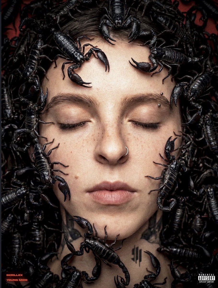 Amandita🦂 tweet media