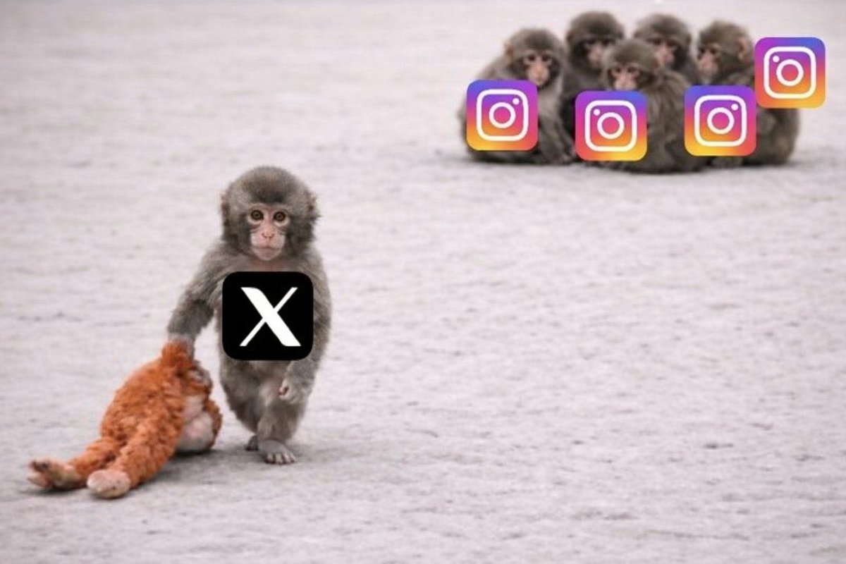 Becky peck tweet media