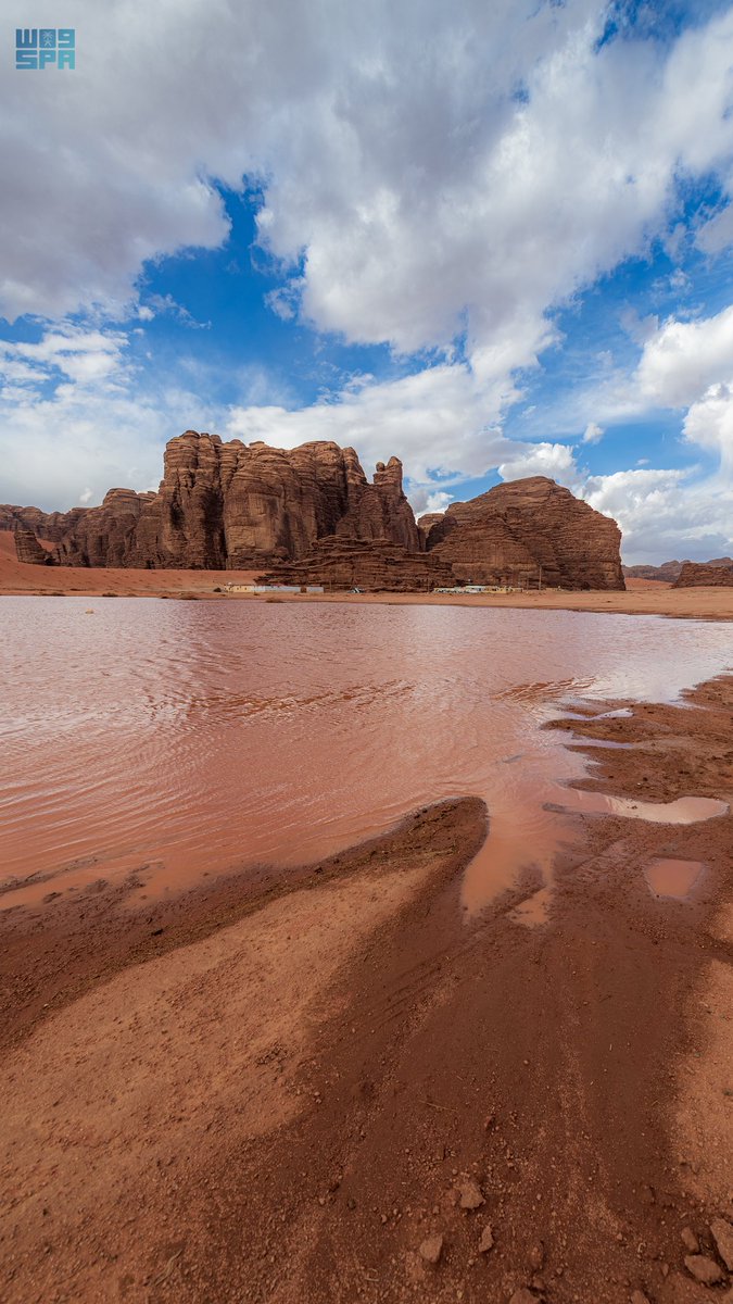 محمد الشريف tweet media