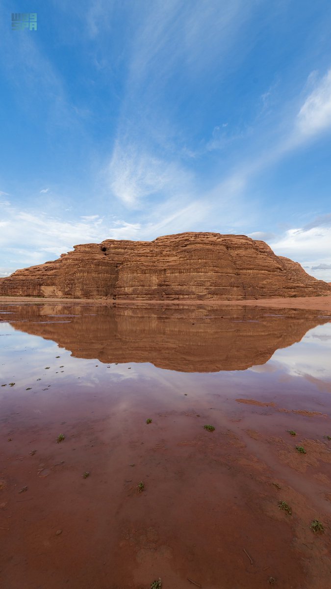 محمد الشريف tweet media