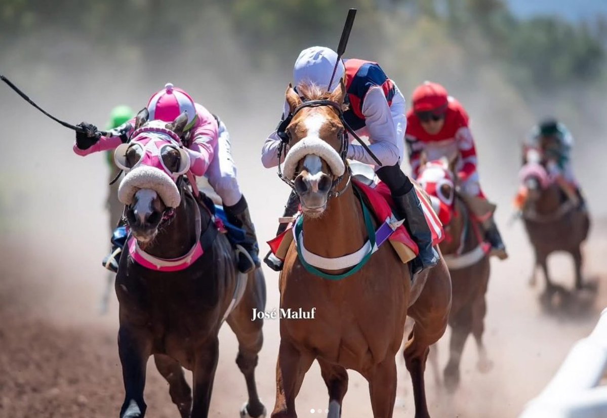 Información real de Daiwa Scarlet tweet media