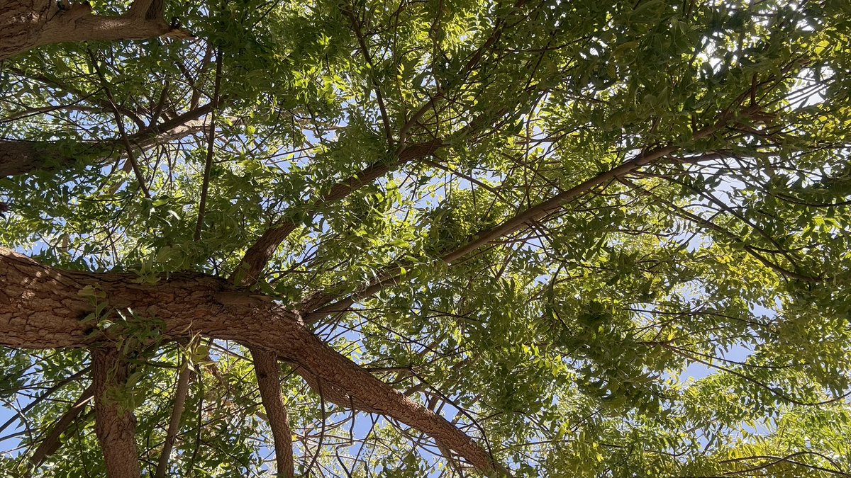 mimi from the warm side tweet media