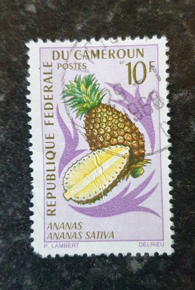 Shane McDonnell tweet media