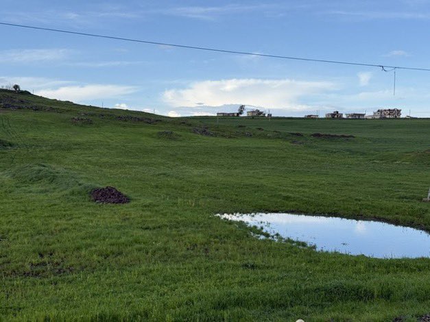 عزيز ريوّ. tweet media