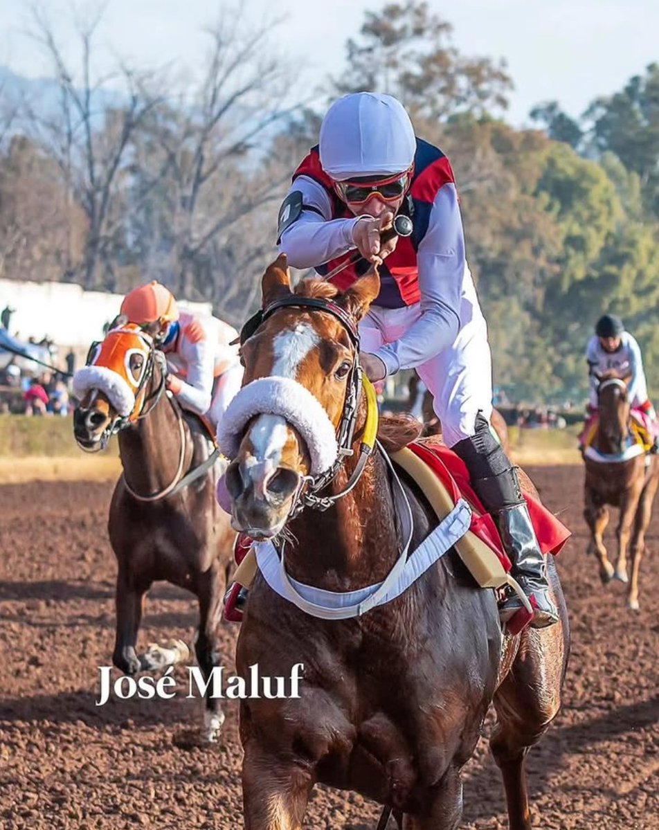 Información real de Daiwa Scarlet tweet media