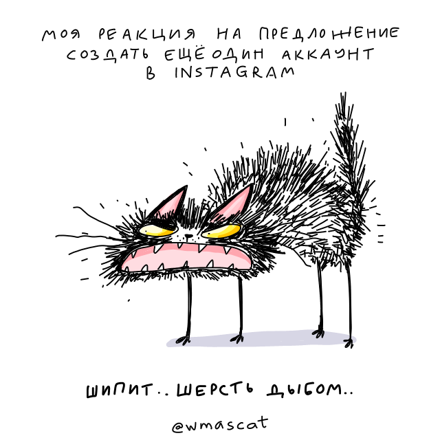 wmascat's tweet photo. спорить не буду .. но мне кажется, что @instagram это не место для создателей контента .. которые живут на донаты .. @meta это похоже не нравится https://t.co/sTxpmjwqRv