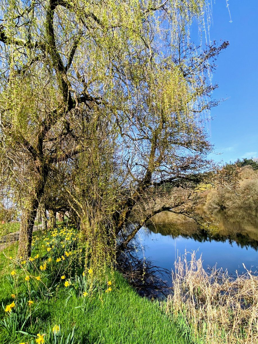 Margaret O'Connell🌻 tweet media