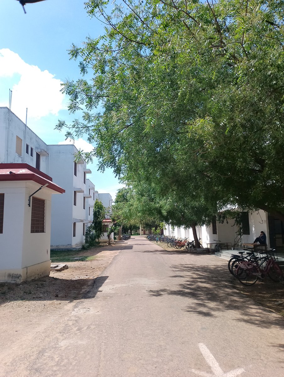 Shafali Singh tweet media