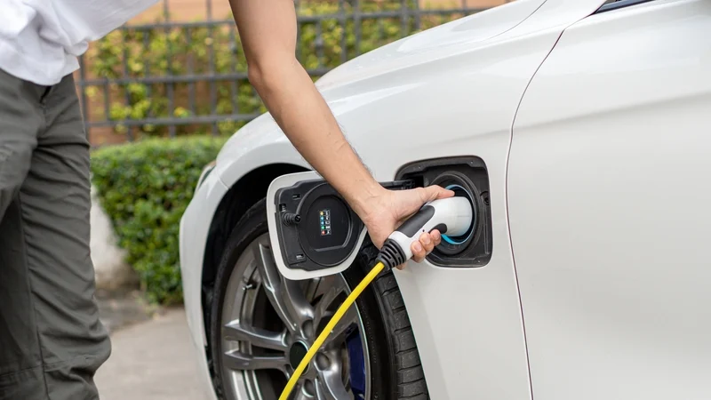 RTÉ Brainstorm tweet media