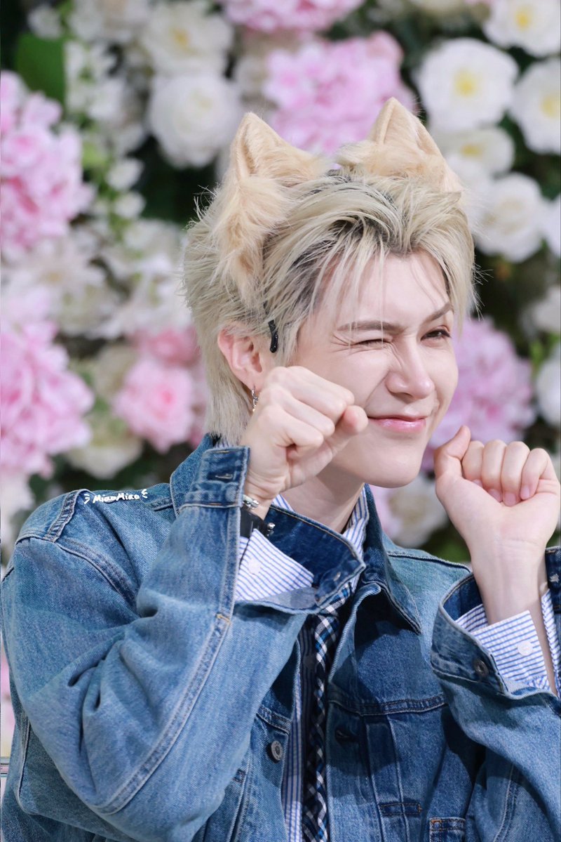 ---MiaoMiao--- tweet media