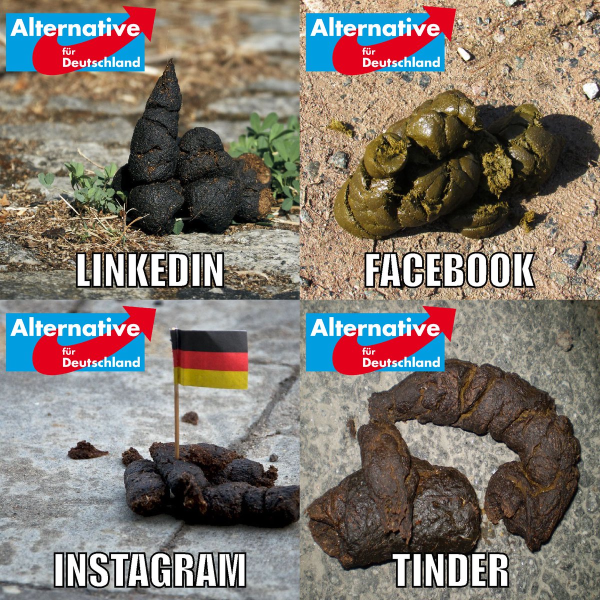 Claude Nobel tweet media