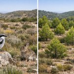 Photo by Arnau Tolrà (@arnautomo)