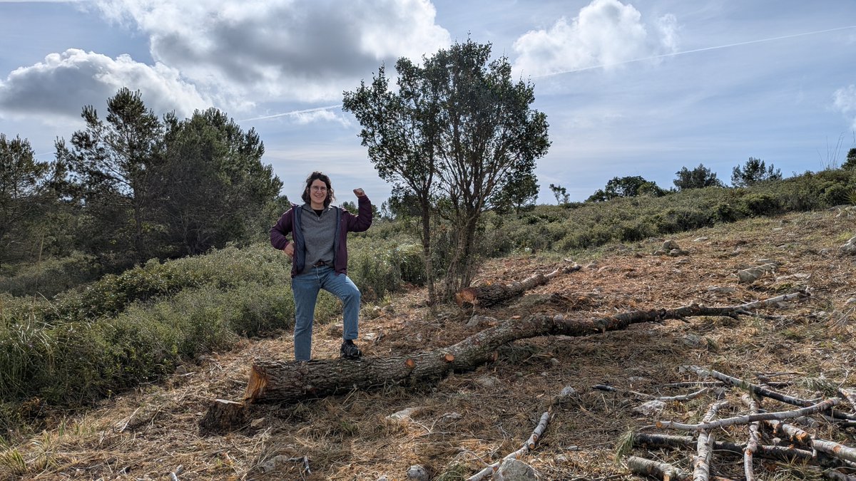 Arnau Tolrà tweet media