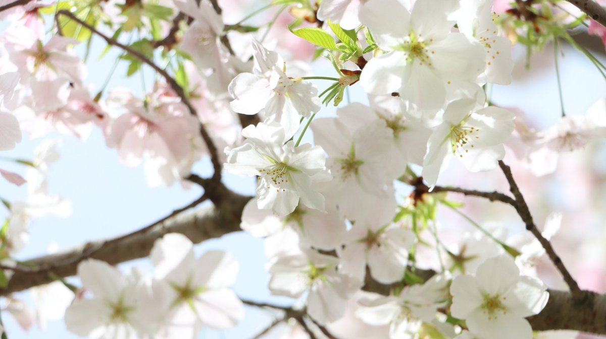 長居植物園 tweet media