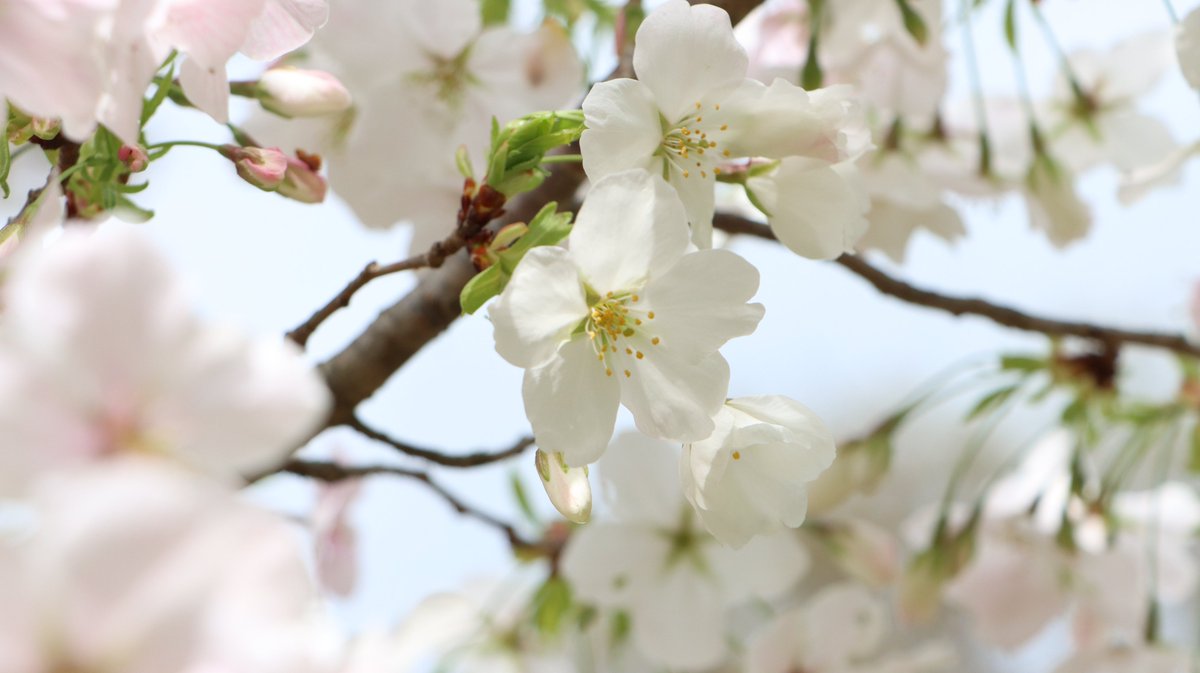 長居植物園 tweet media