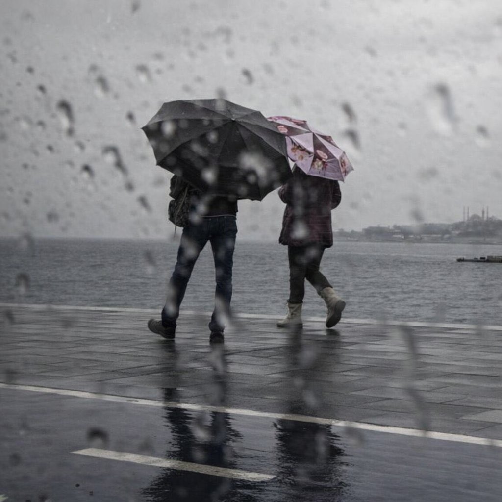 Pusholder tweet media