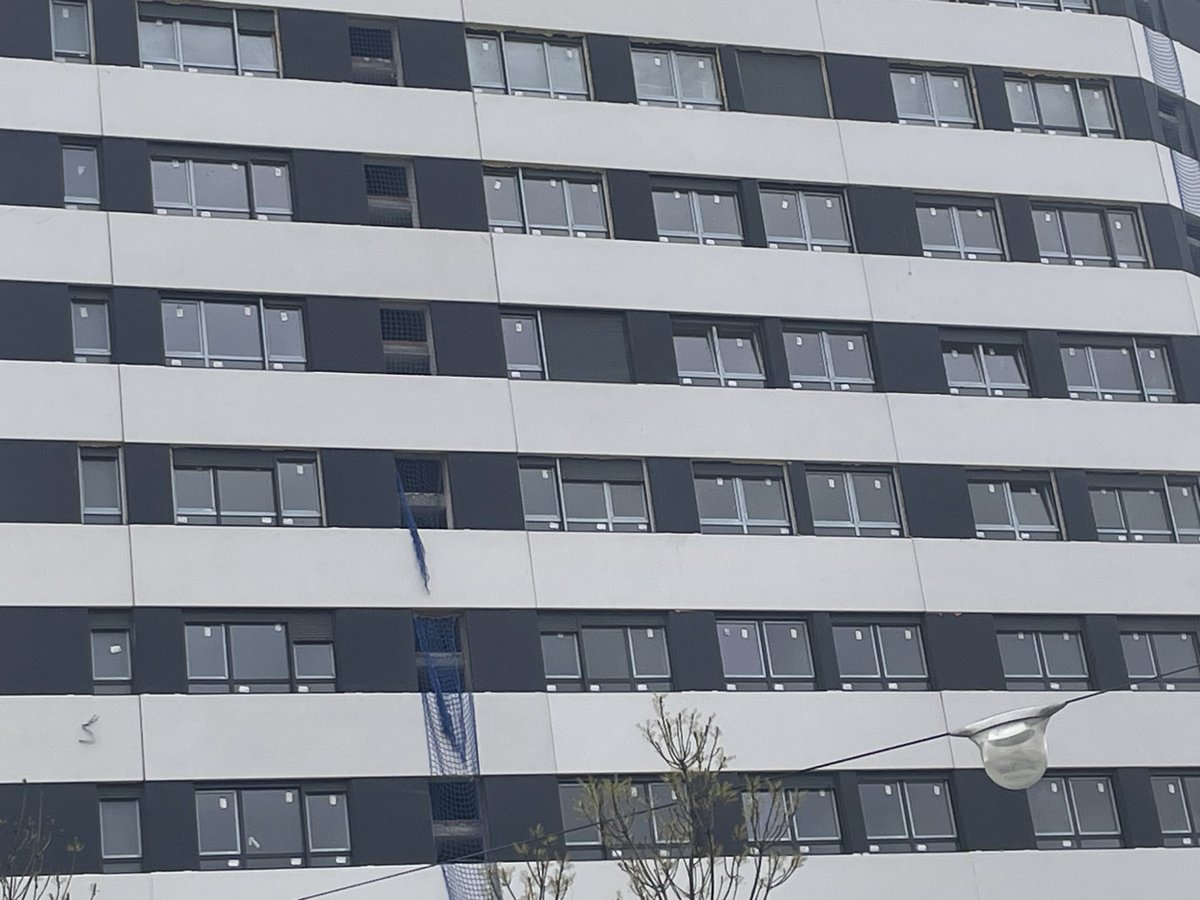 CiudadanoCortoMaltés tweet media