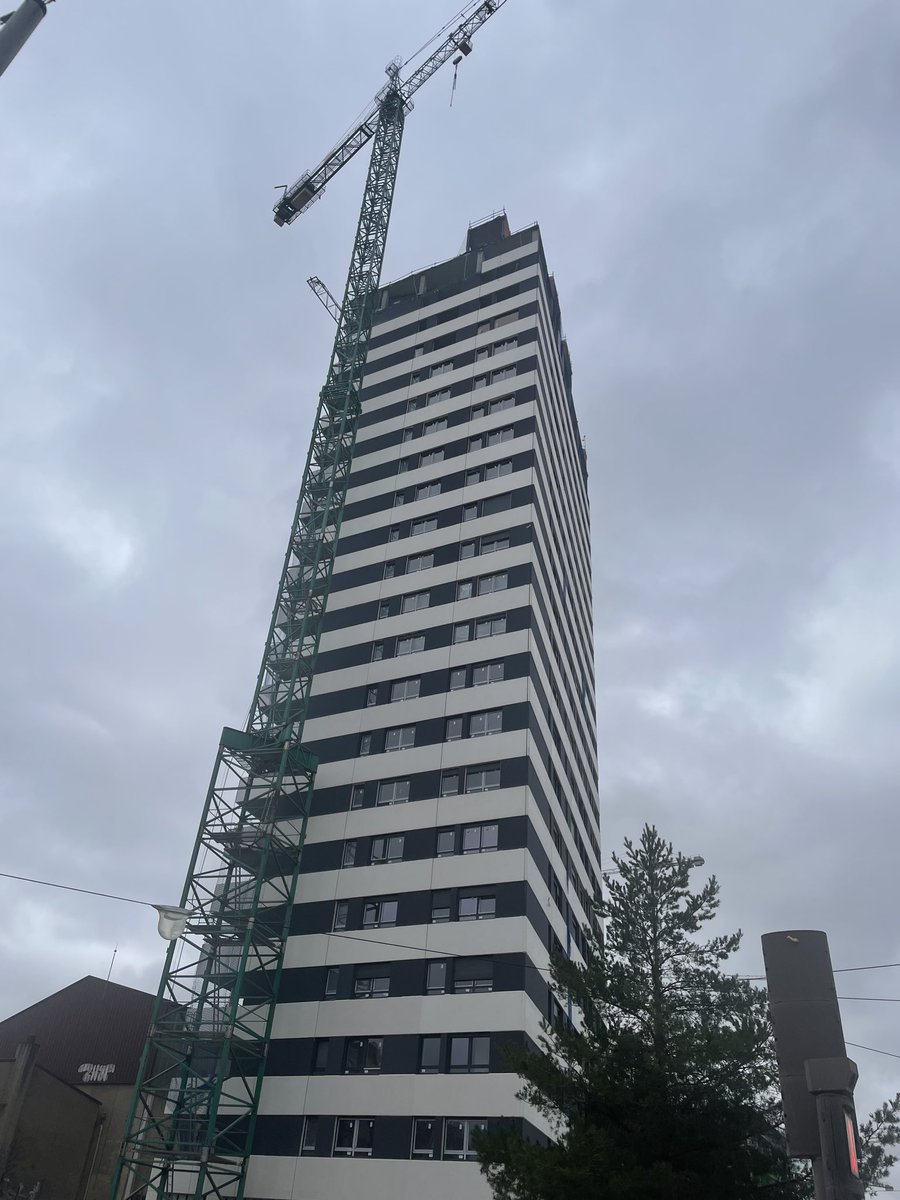 CiudadanoCortoMaltés tweet media