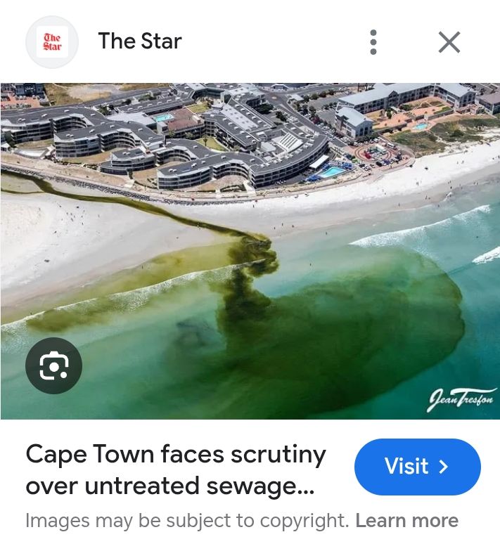 Griffith tweet media