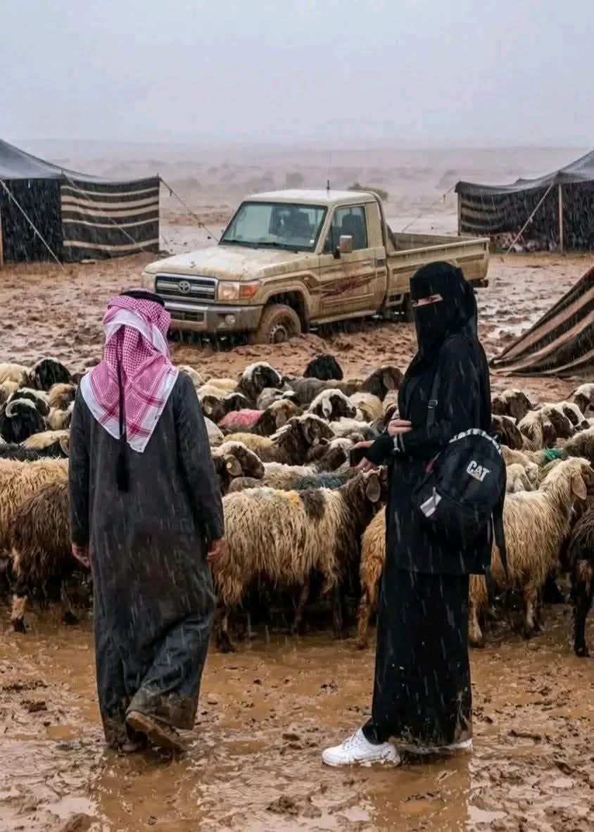 بلقاوويه مزيوونه ❤️🇯🇴 tweet media