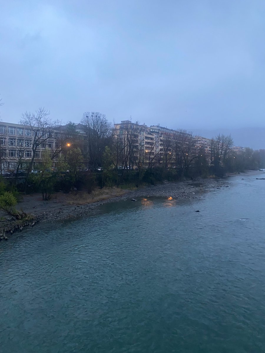 Teimur-golden tweet media