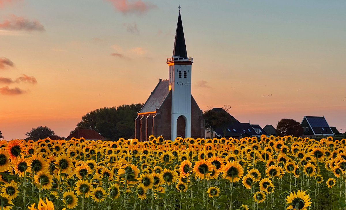 𝕃𝕚𝕤𝕖𝕥𝕥𝕖 𝕋𝕙𝕖𝕚𝕛𝕤𝕤𝕖𝕟 tweet media