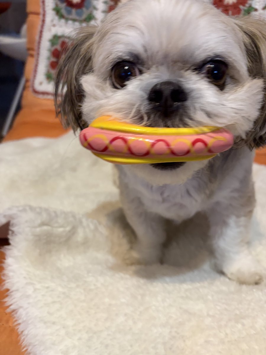 ぶんきんちゃんねる公式 tweet media