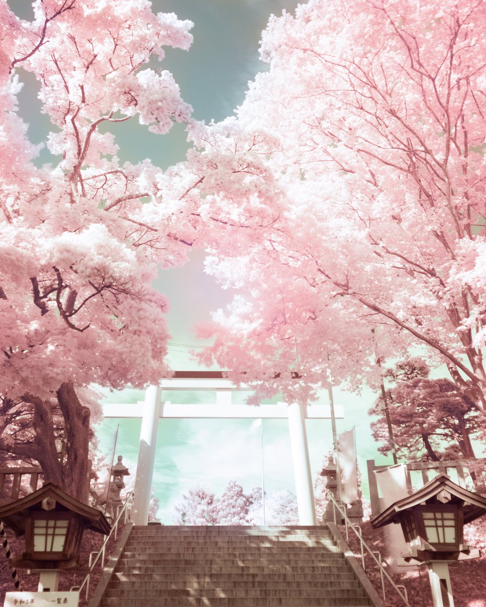 nao28hak's tweet photo. @aestheticsguyy https://t.co/RzfV6lrzmQ