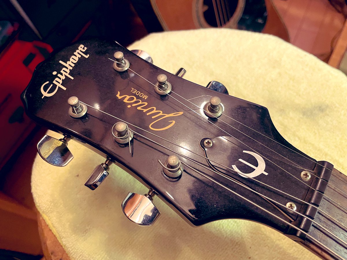 けんし🍋は〜もにゃん tweet media