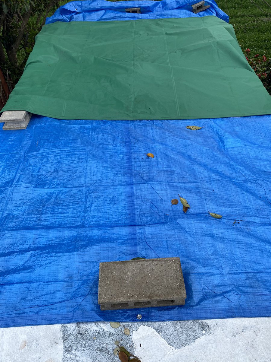 鈴木雅人 tweet media