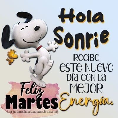 Luz Bella tweet media