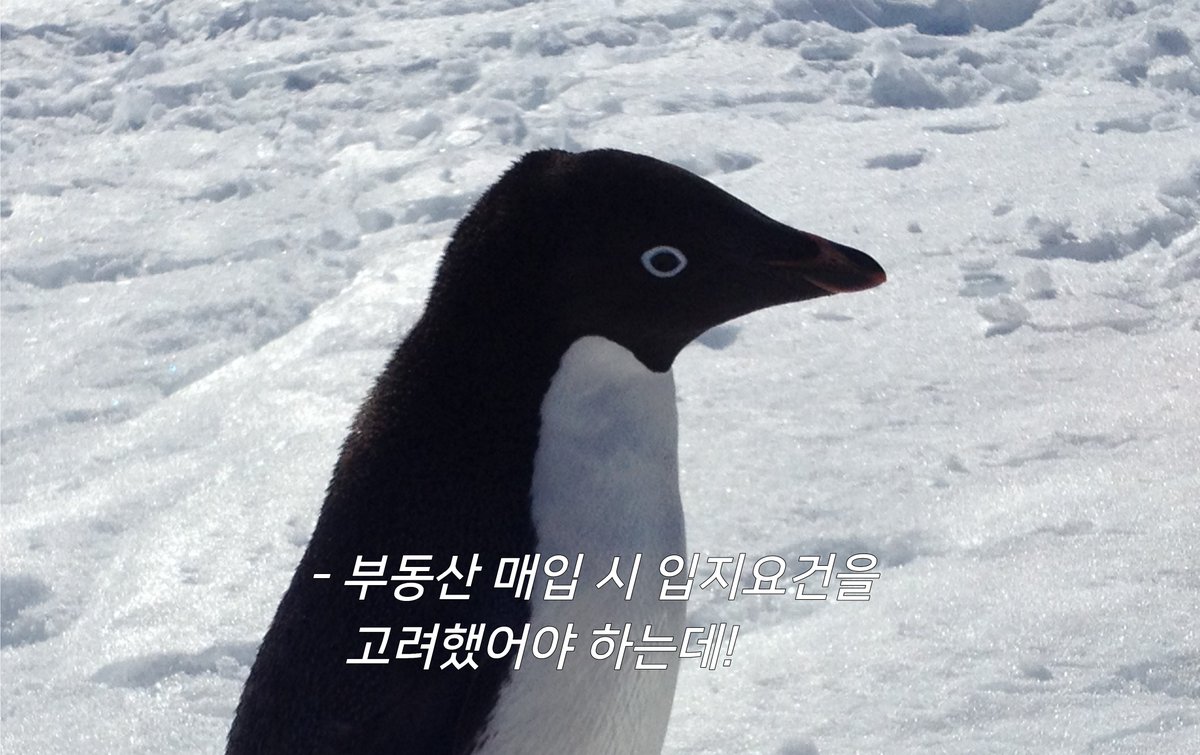 극지연구소 tweet media