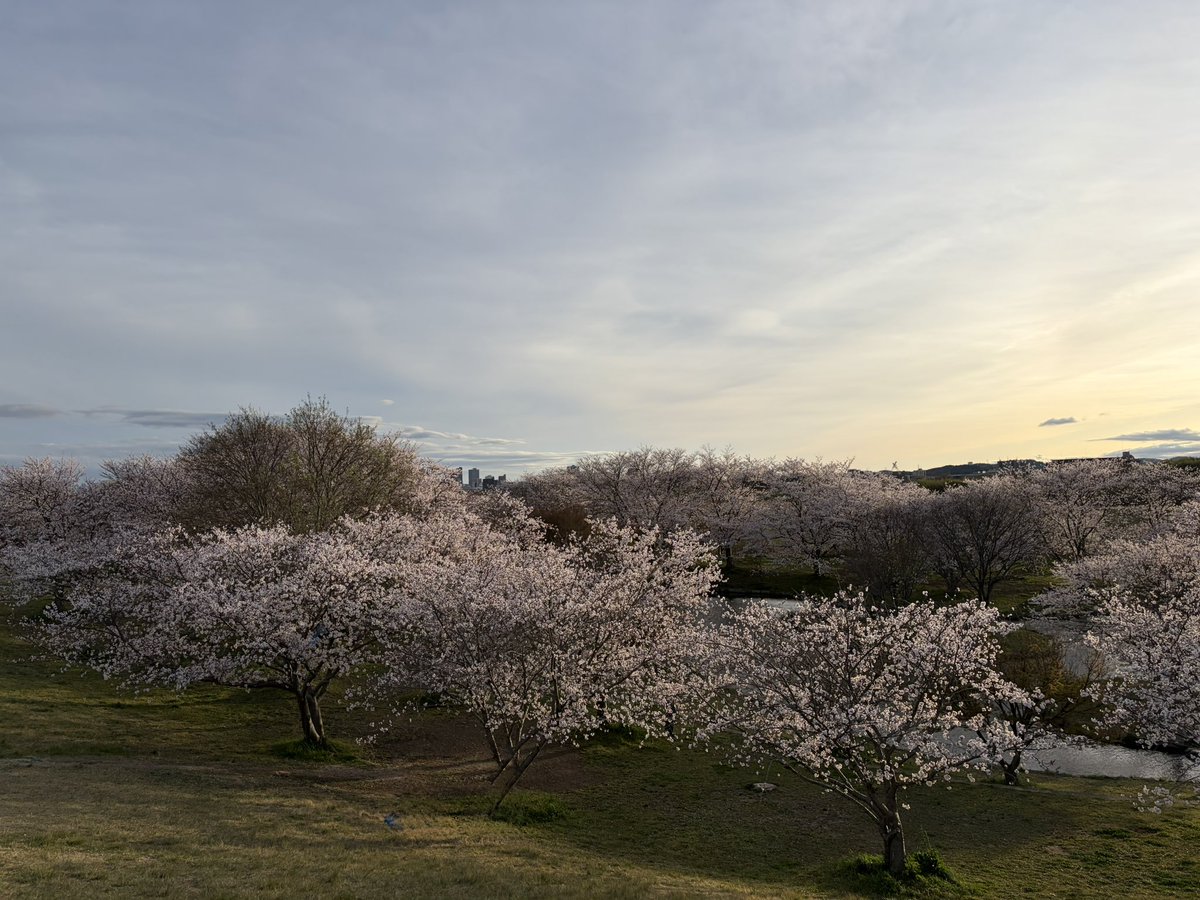 ズートロ@トレーサーとＷＲとズートロ tweet media