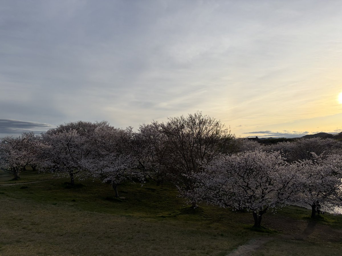 ズートロ@トレーサーとＷＲとズートロ tweet media