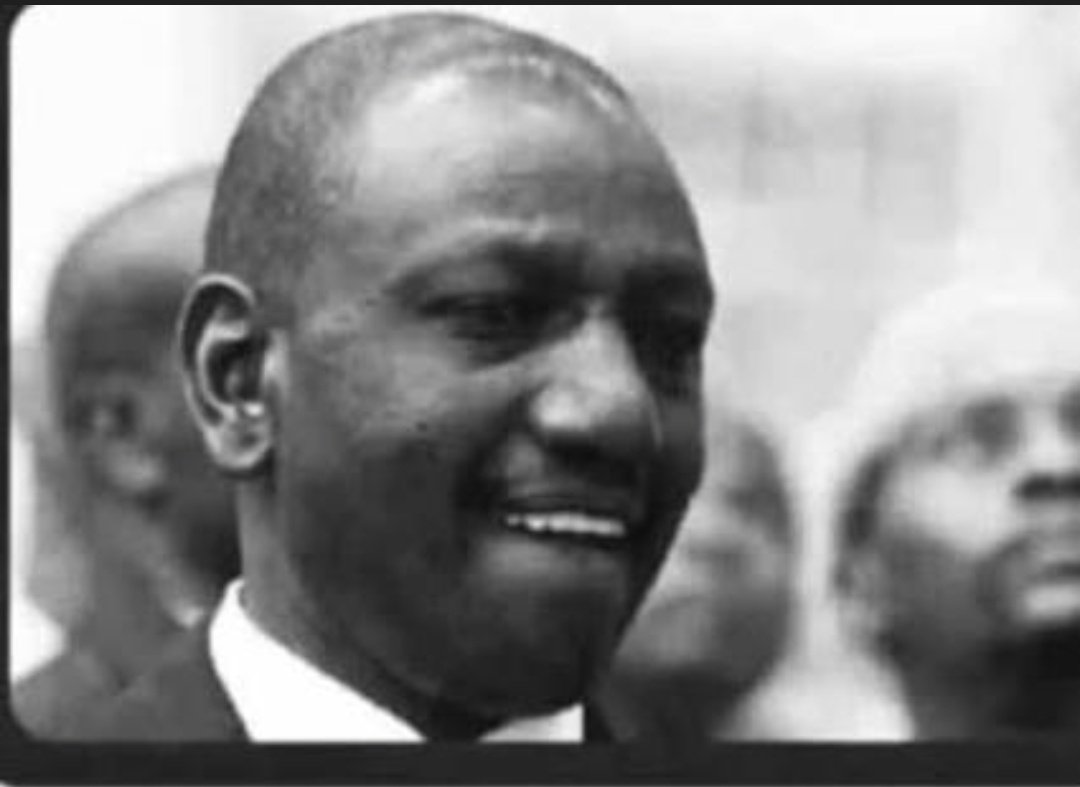 niko kadi🐋 tweet media