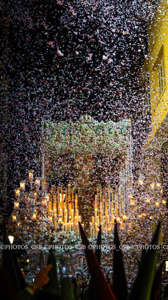 CORAL SERRA (@Photos_CSB)  tweet media
