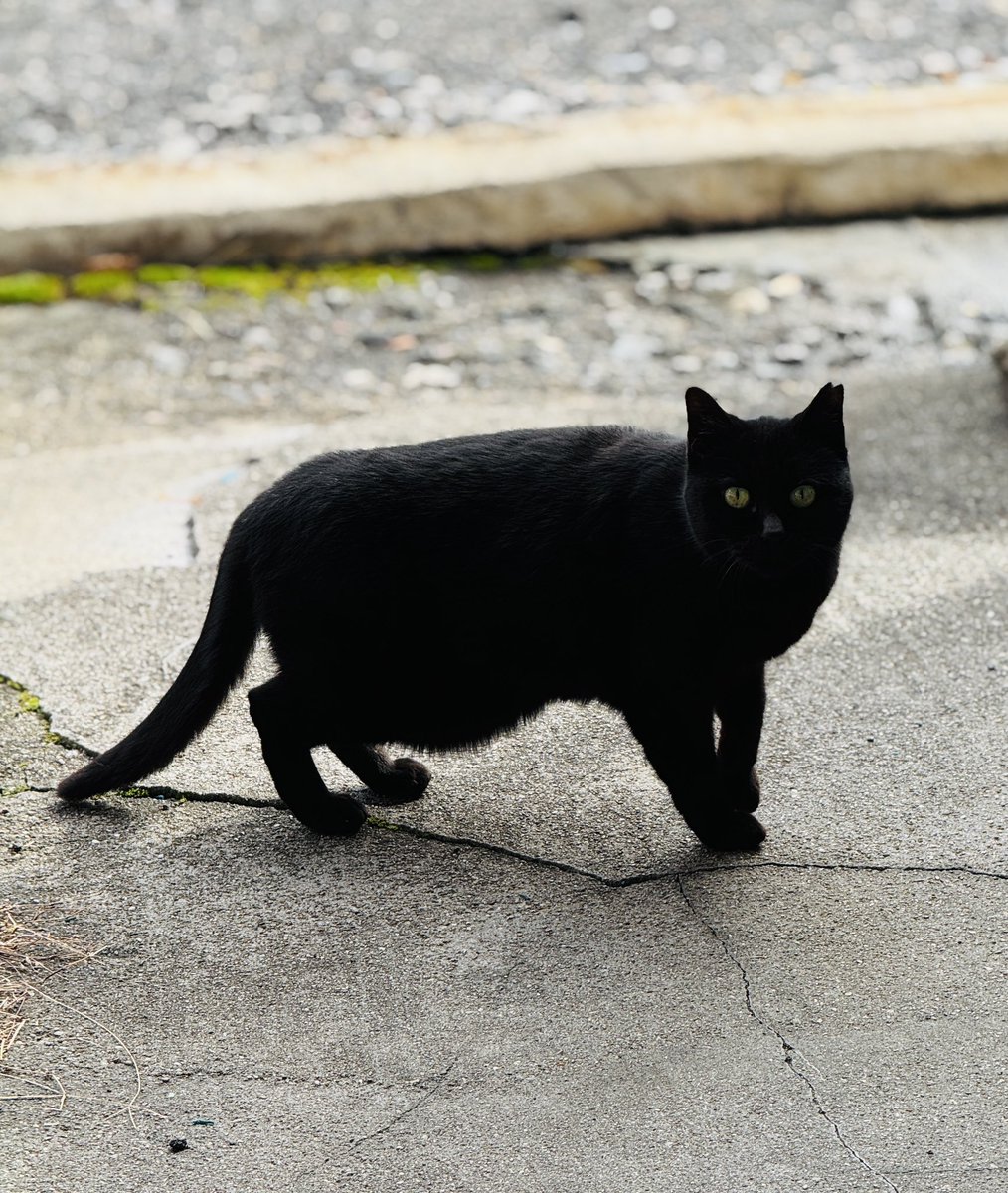 まっち tweet media