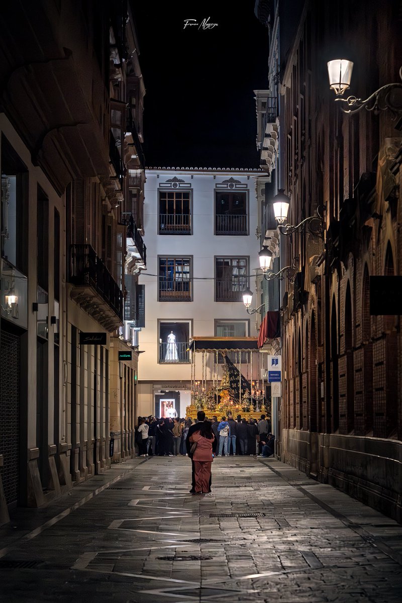 Francisco Mayorga 📷 tweet media