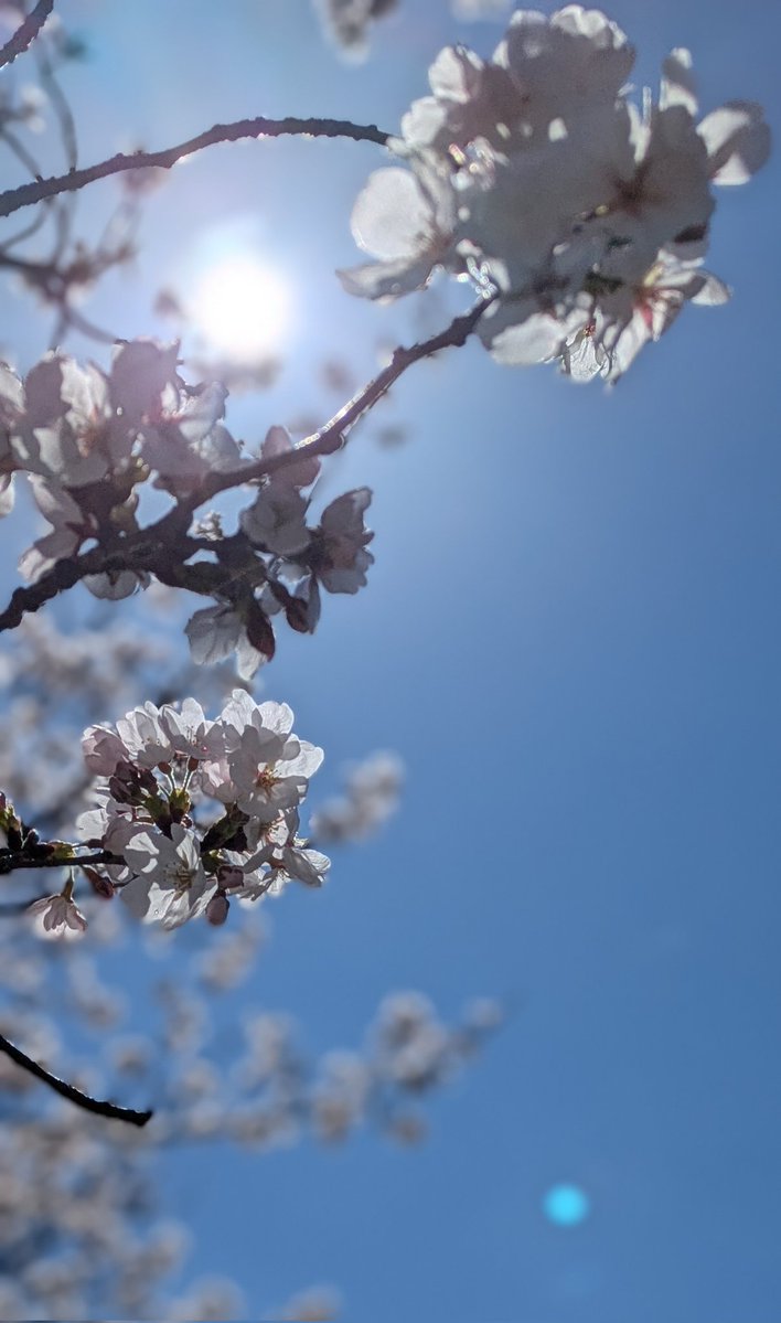 はうあゆ tweet media